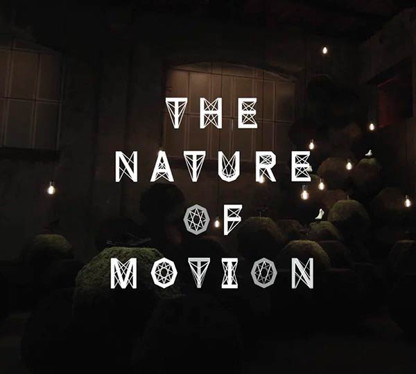 The Nature of Motion